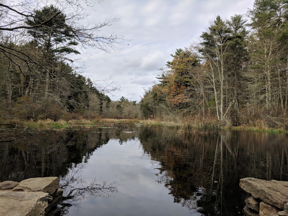 DNRT Destruction Brook Woods