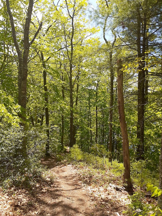 Forge Pond Conservation Area
