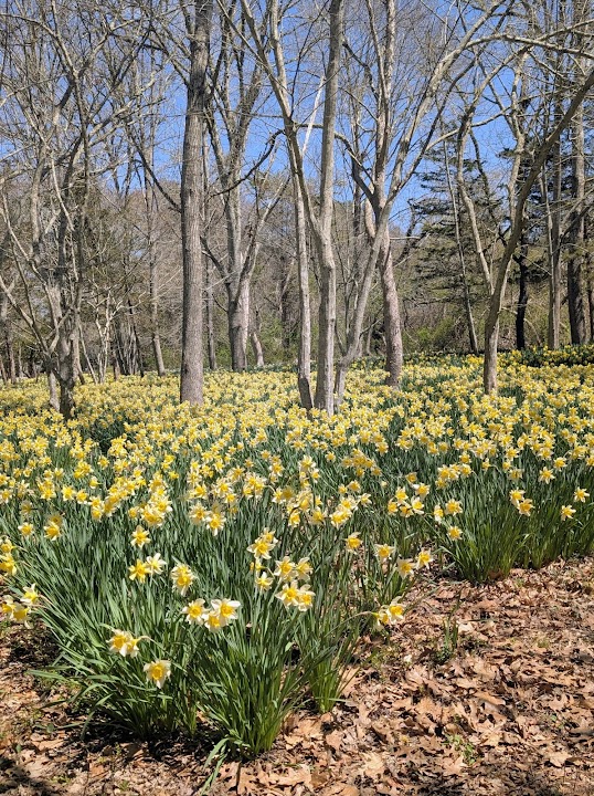 Parsons Reserve