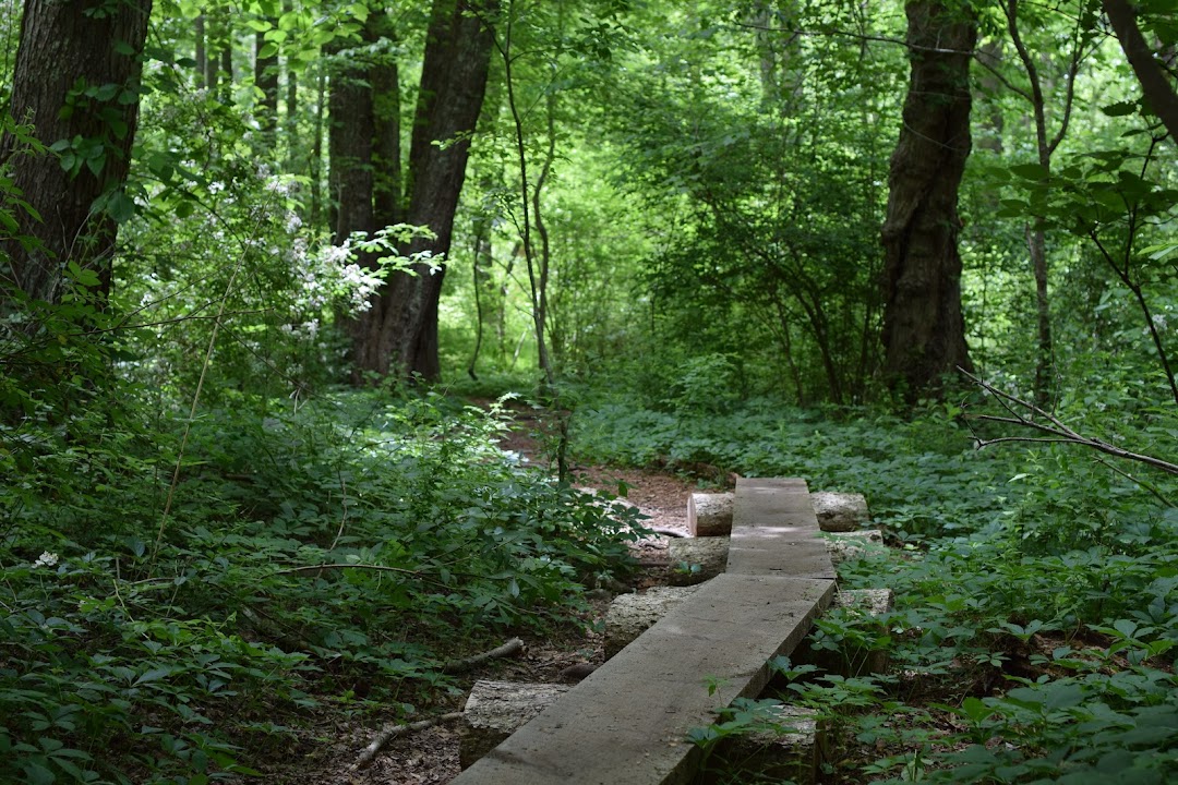 Noquochoke Conservation Area