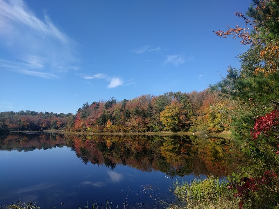 Acushnet Cedar Swamp State Reservation