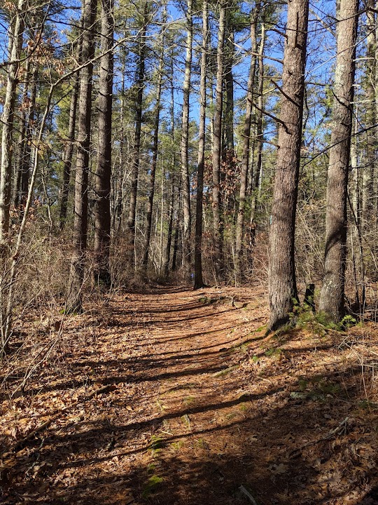 Wildlands Trust - Rounesville II Preserve