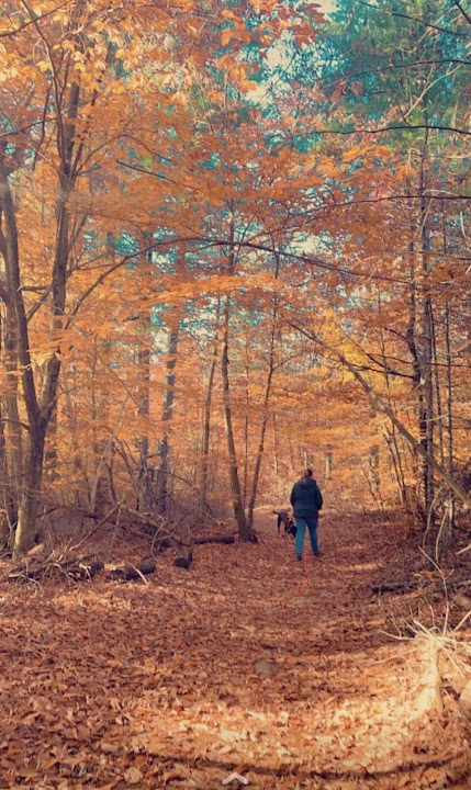 Freetown State Forest Headquarters