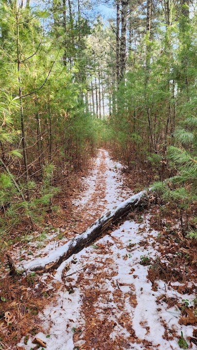 Wildlands Trust - Stephen C.L. Delano Memorial Forest