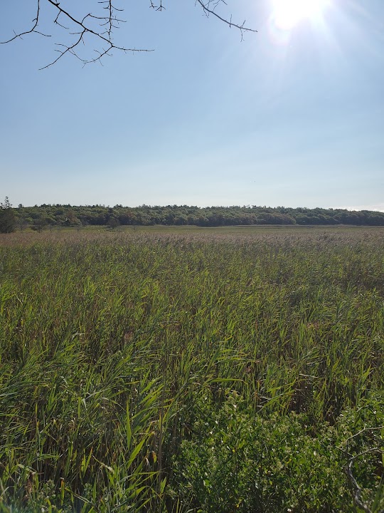 Walega-Livingstone Preserve