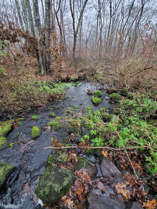 Herb Hadfield Conservation Area