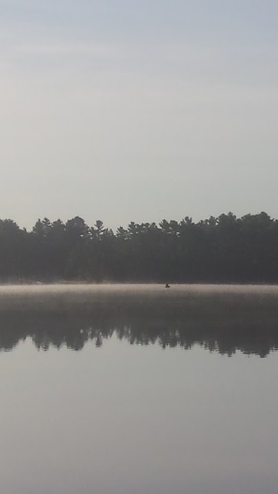 Rochester Wildlife Management Area