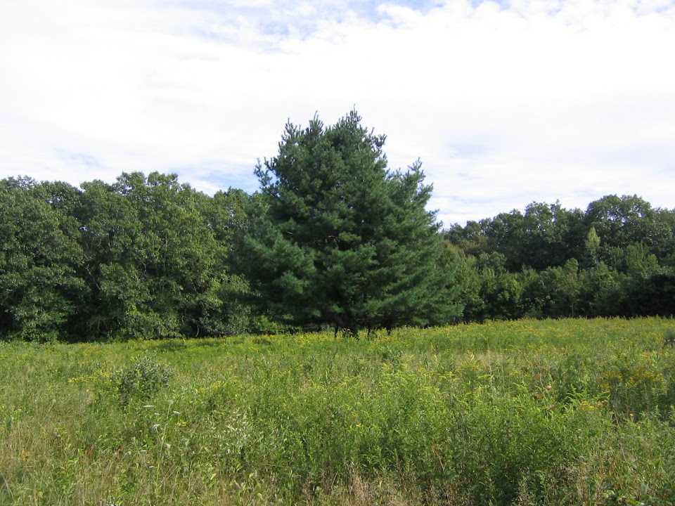 DNRT Smith Farm