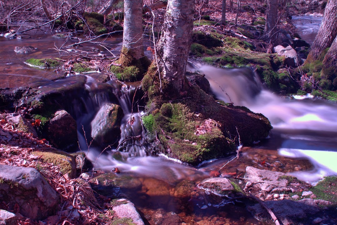 Mill Brook Pond