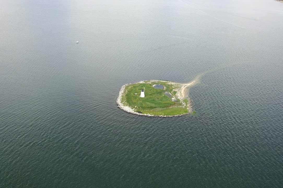 Bird Island